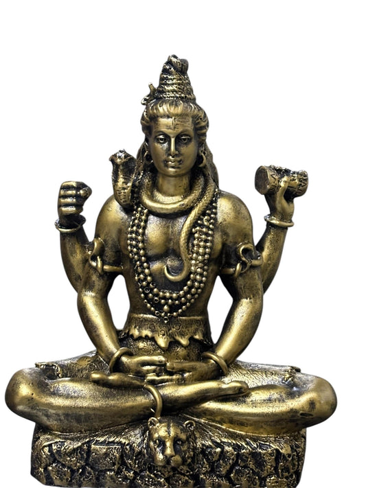 1226B  SHIV