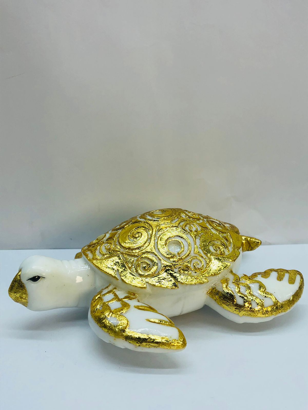 PP2108GP turtle