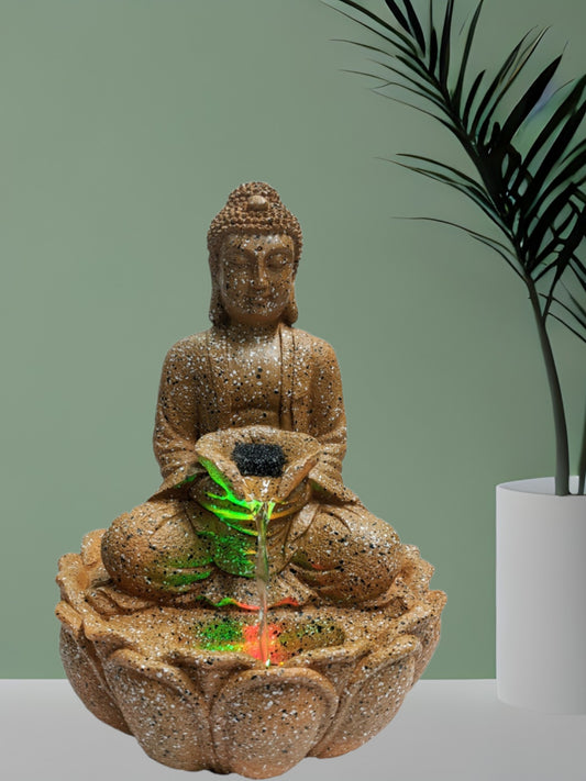 1566    Small buddha fountain