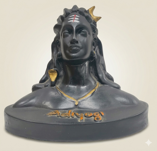 1537C  adiyogi ji