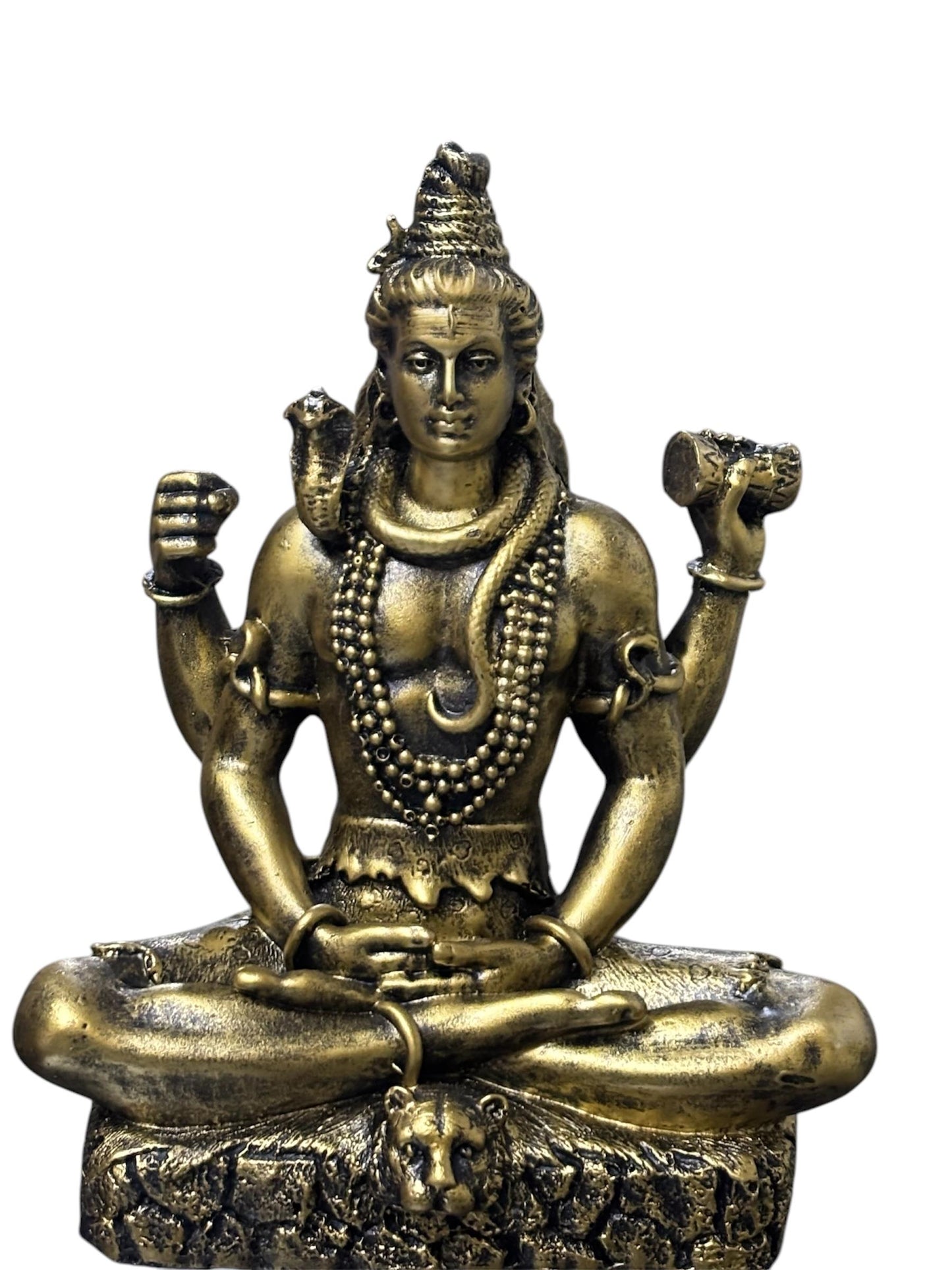 1226B  SHIV