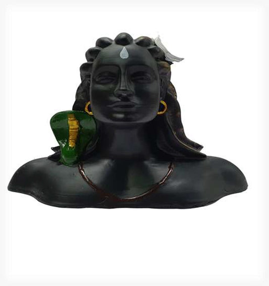 1537B  aadiyogi ji