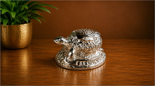 SL2140B, Turtle